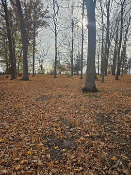 Lake Summerset Lot with Views