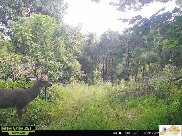 Picture 12