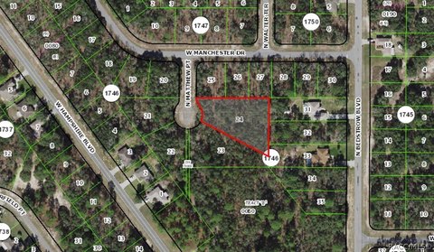 LAND - Citrus Springs, FL