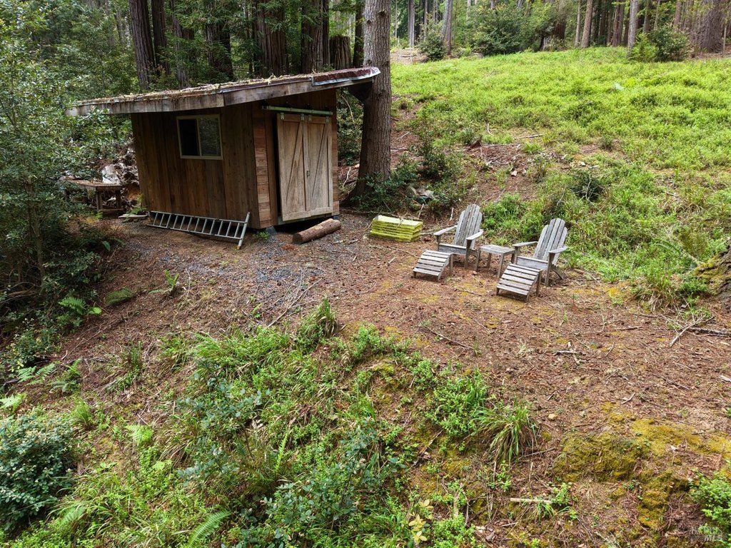 Picture 30