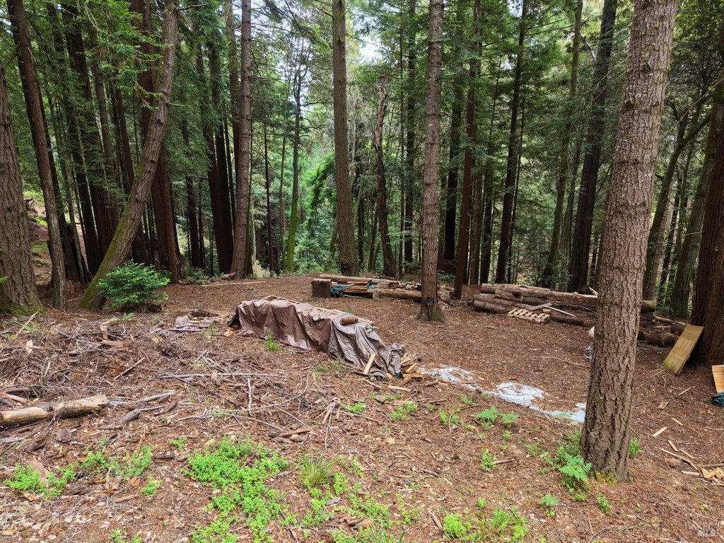 Picture 25