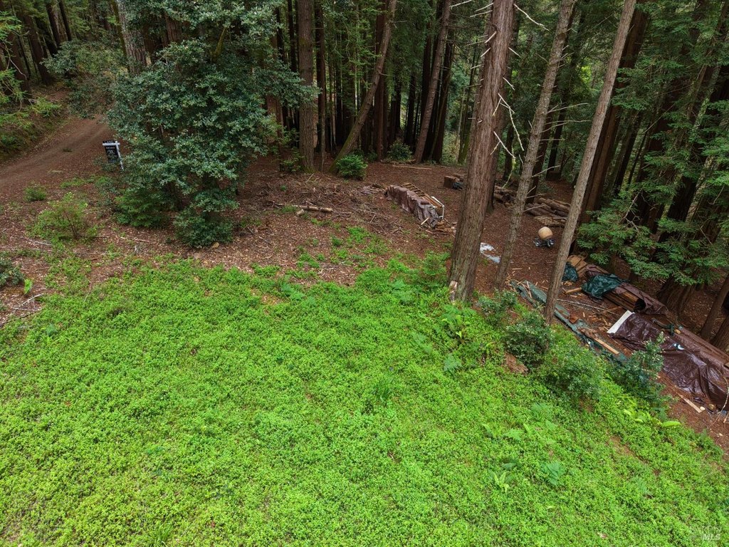 Picture 22