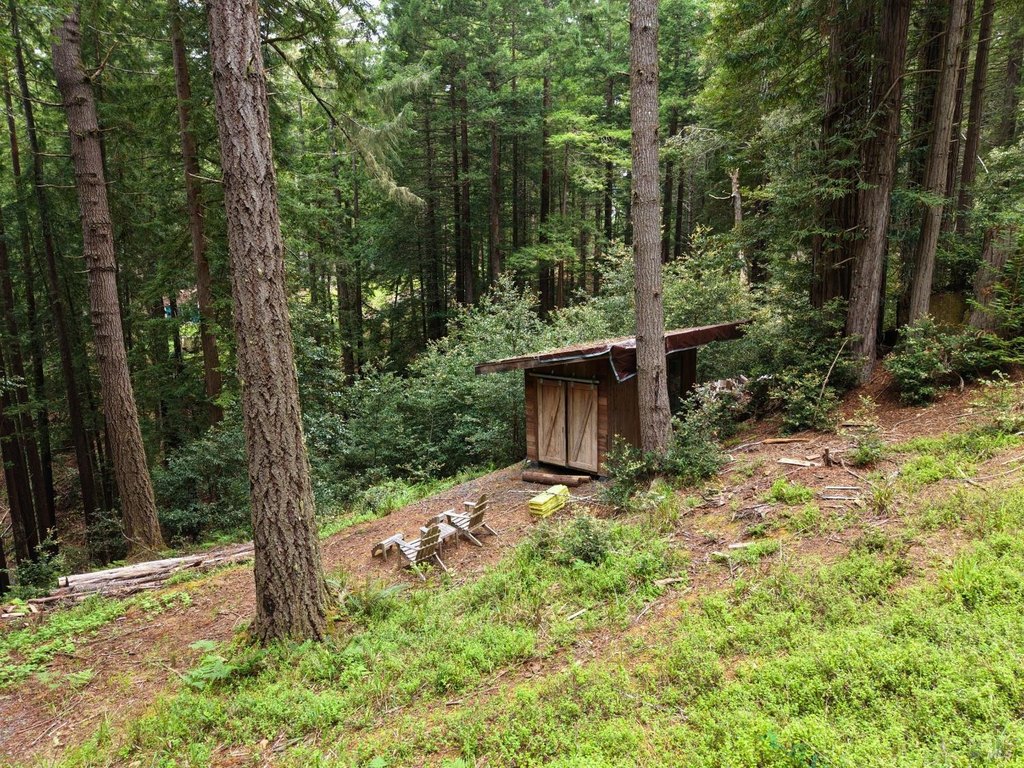 Picture 29