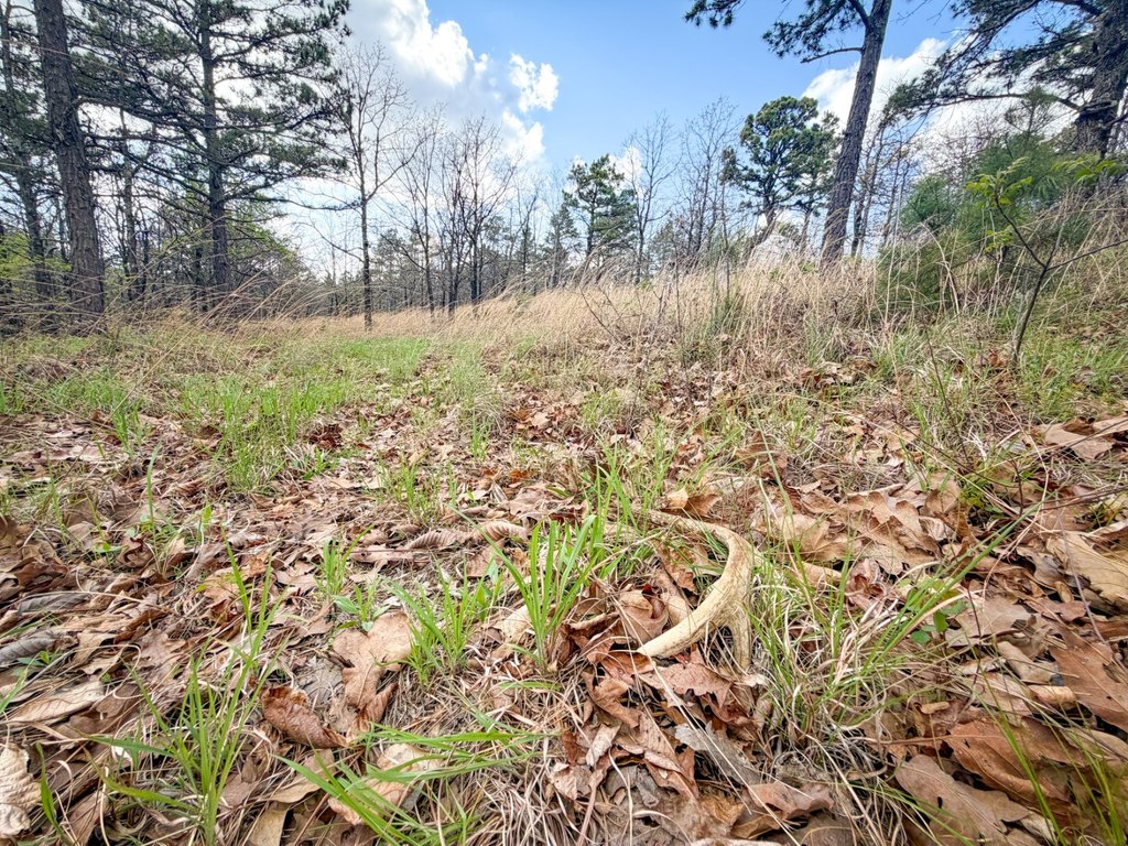 Picture 27