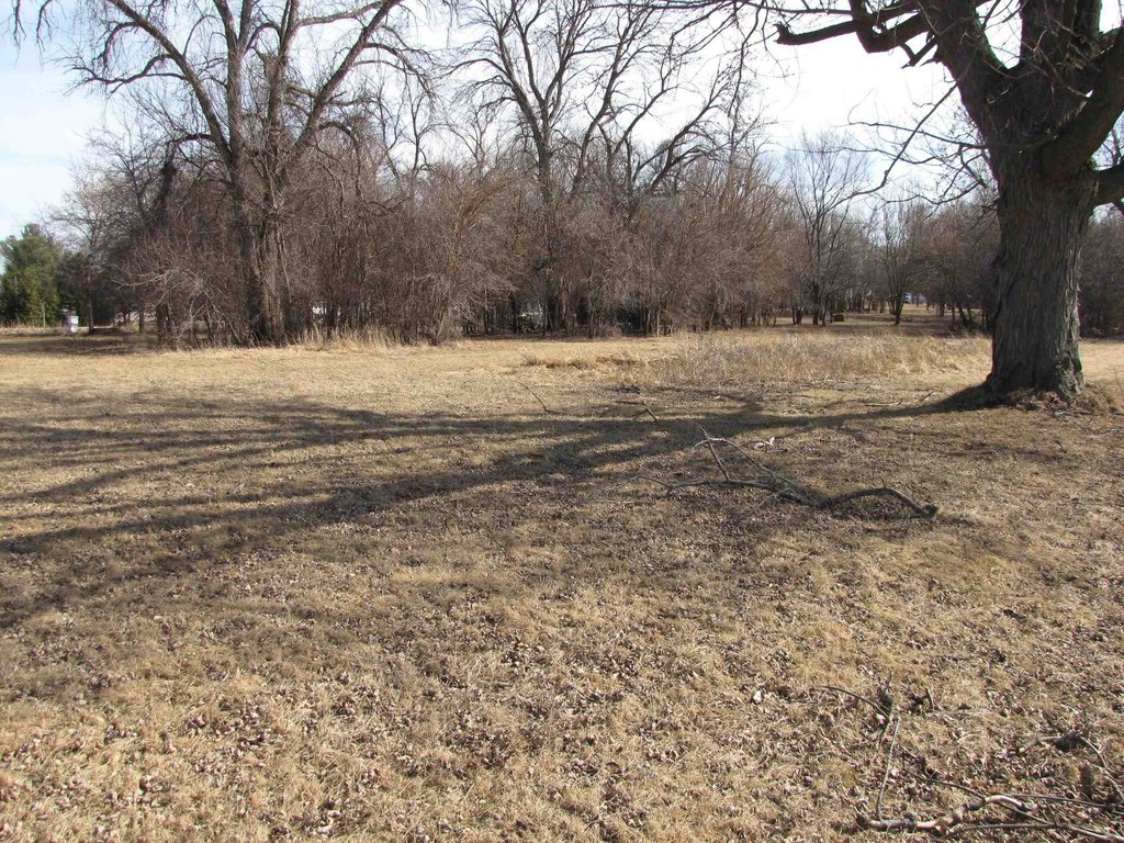 Picture 11