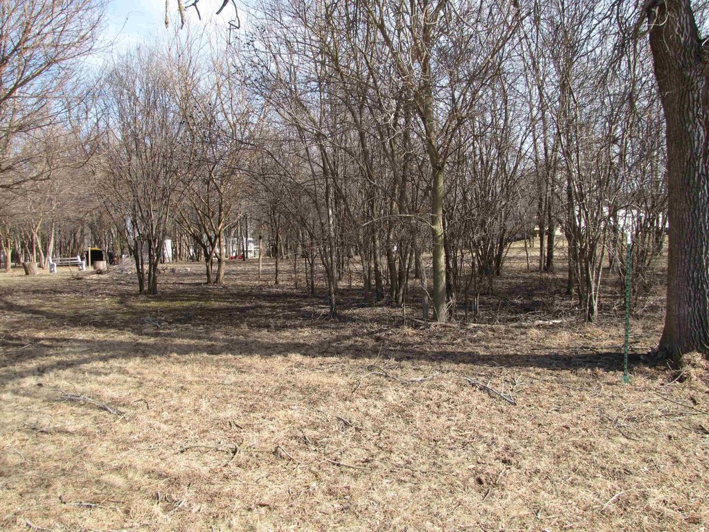 Picture 9