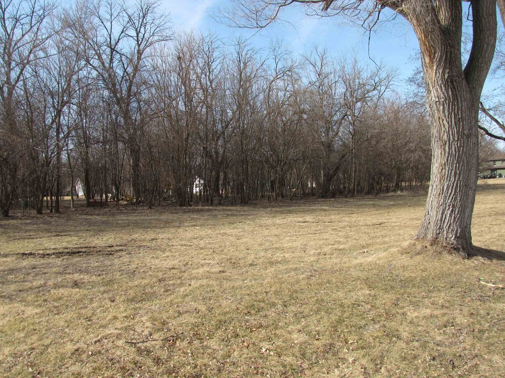 Picture 7