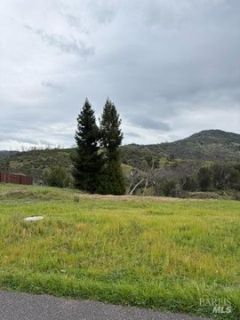 LAND - Redwood Valley, CA