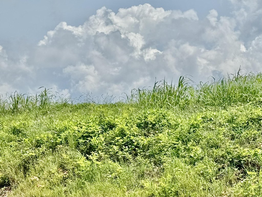 Picture 6