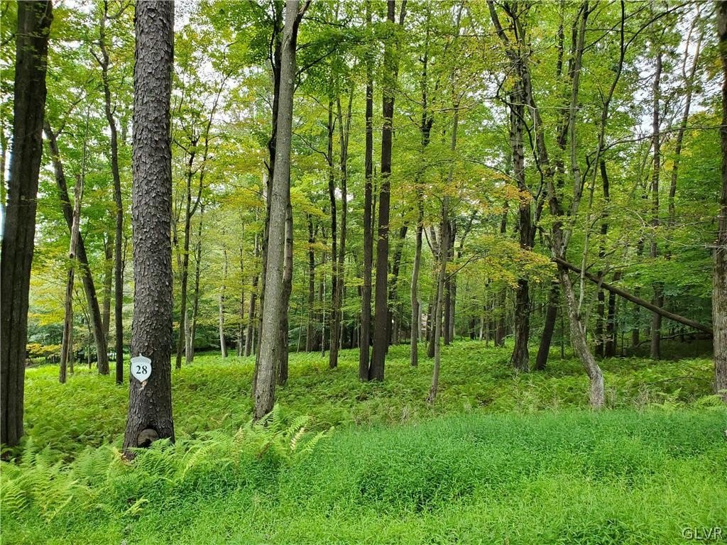 Wooded Lot in Tall Oaks