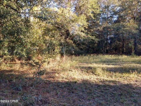 LAND - Bonifay, FL
