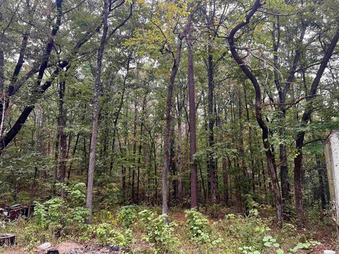 Vacant Land, Sheridan, AR