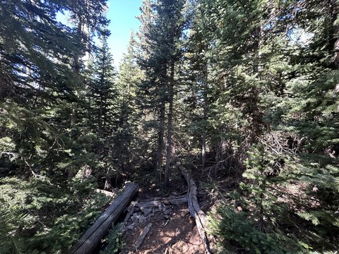 Land with Mountain Views