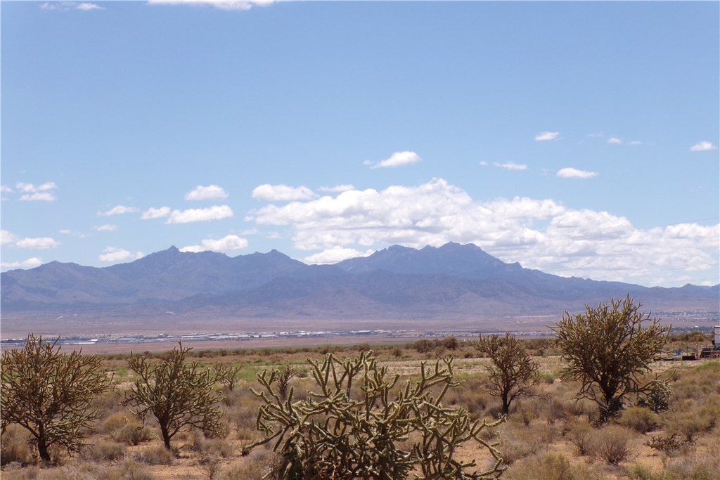 Picture 20