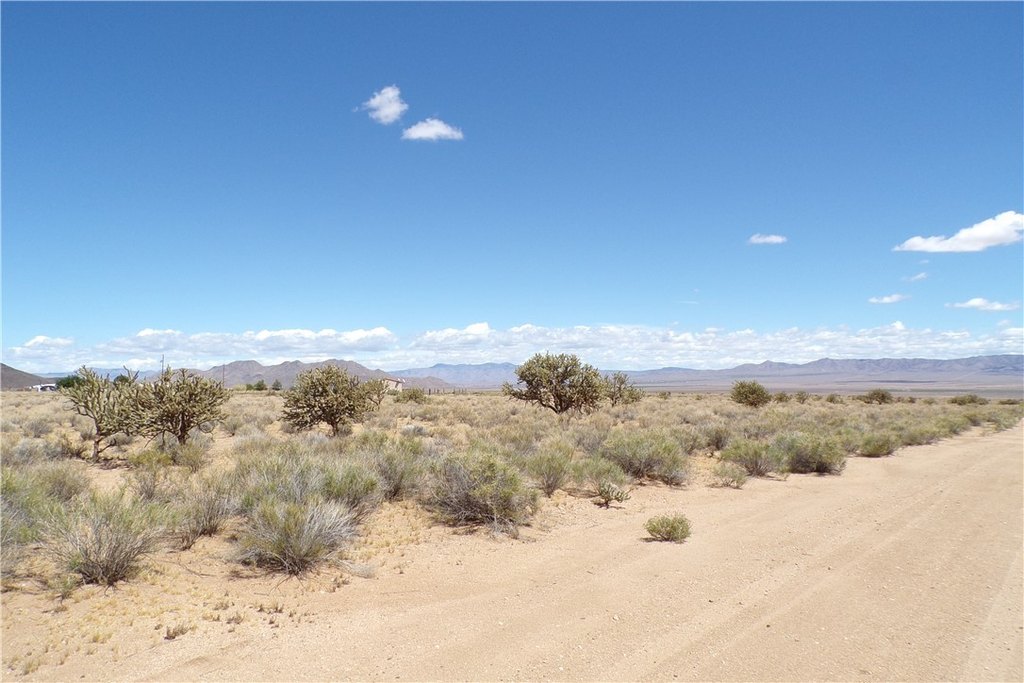 Picture 21