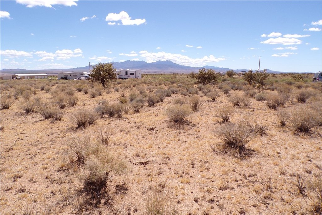Picture 15