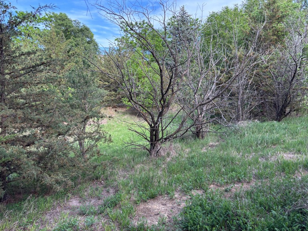 Picture 25