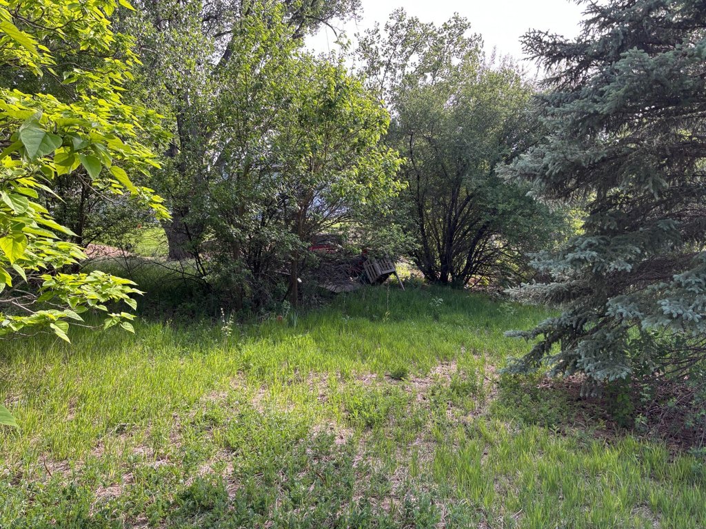 Picture 10