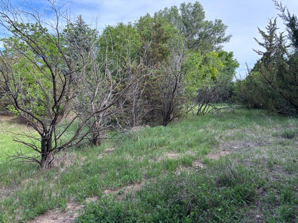 Picture 19