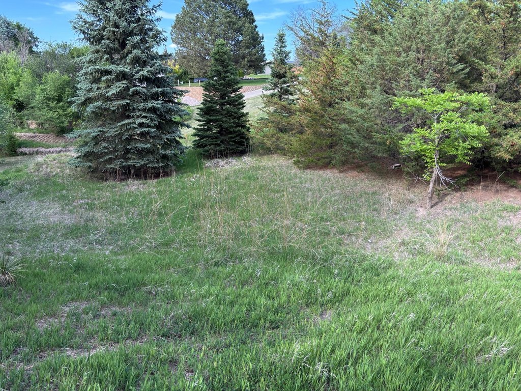 Picture 18