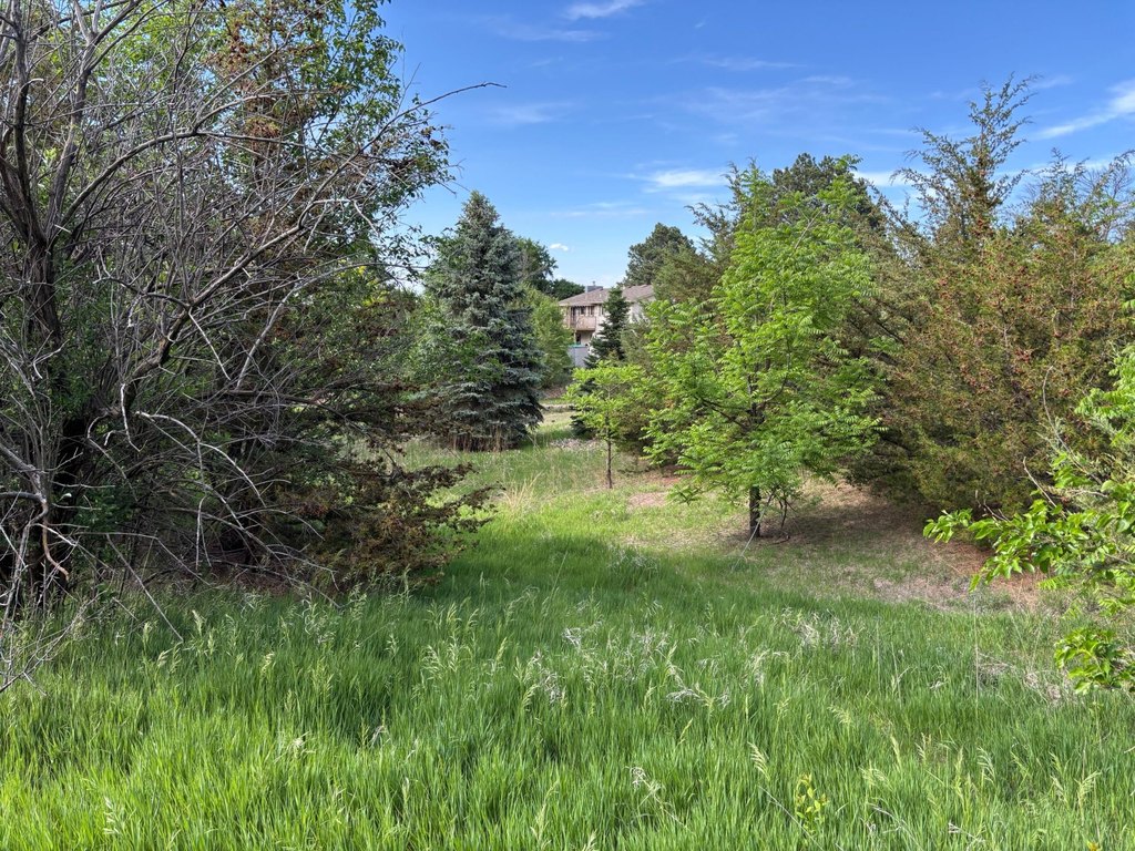 Picture 7