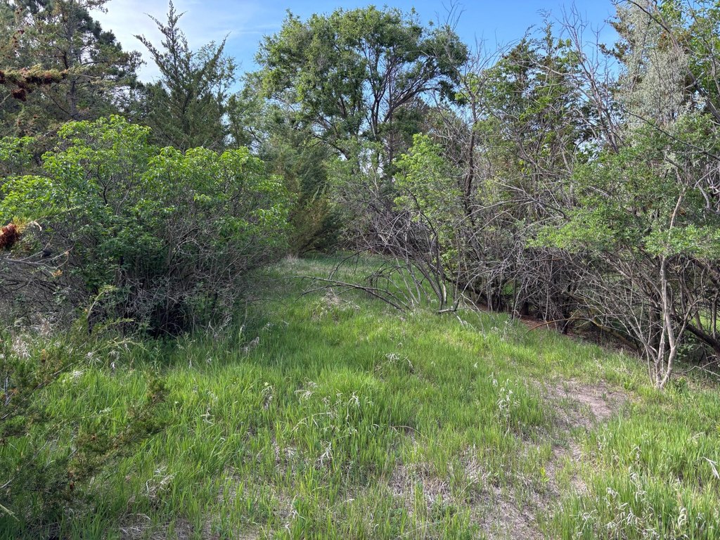 Picture 23
