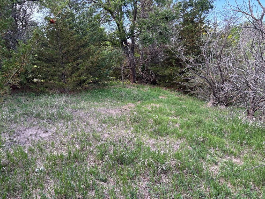 Picture 21