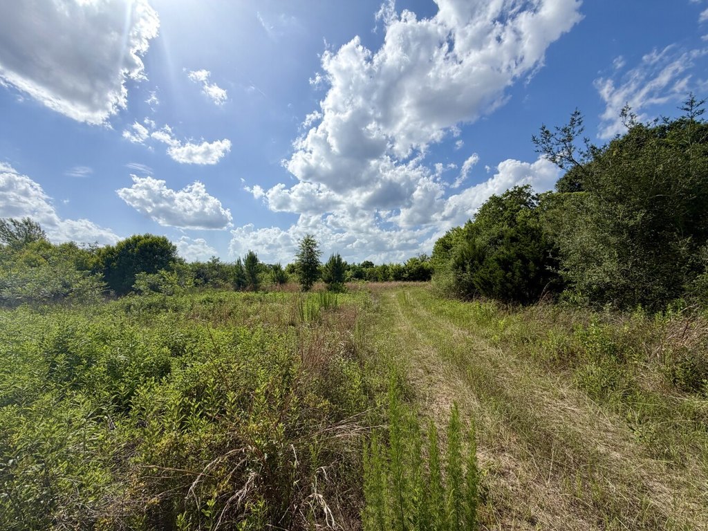 Picture 23