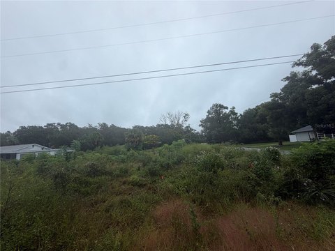Land, WEEKI WACHEE, FL
