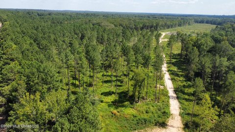 LAND - Florence, MS