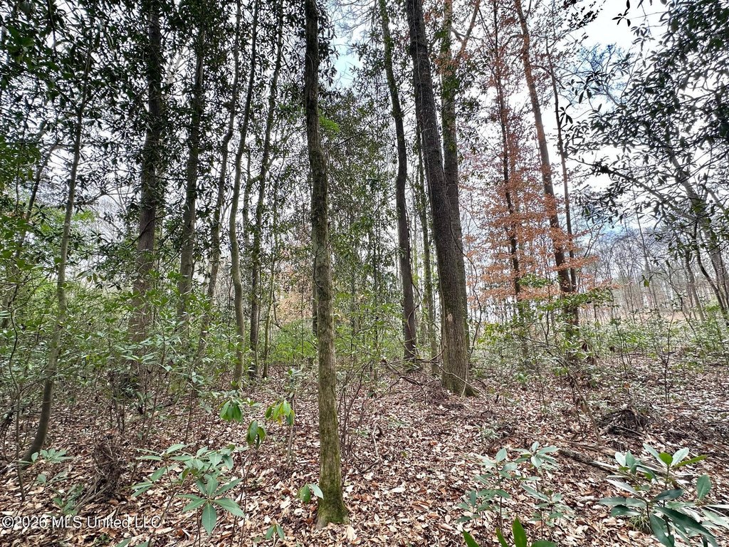 Picture 23
