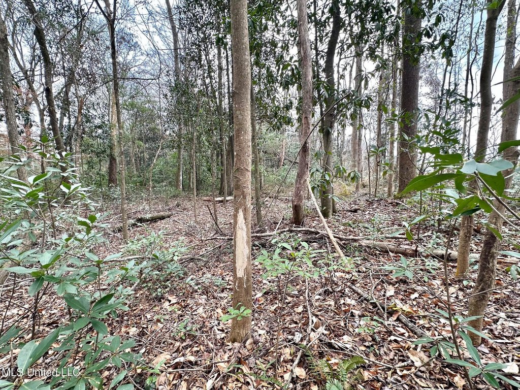 Picture 18