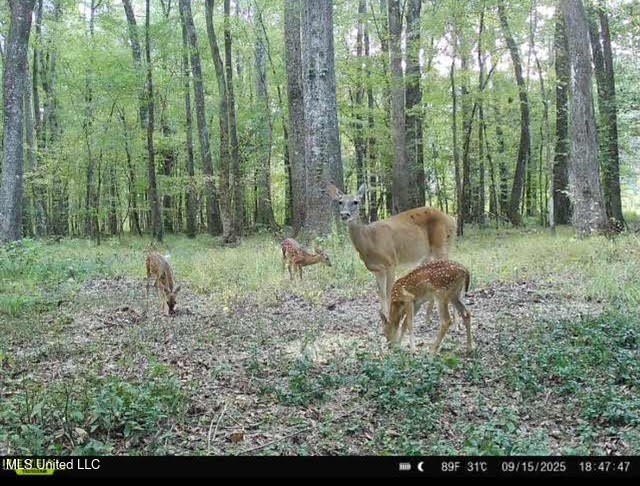 Picture 3