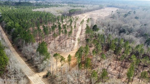 LAND - Florence, MS