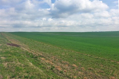 Rolling Cropland Tract