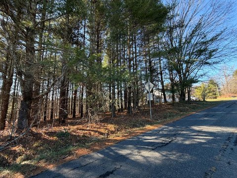 Unrestricted Wooded Lot Near Parkway