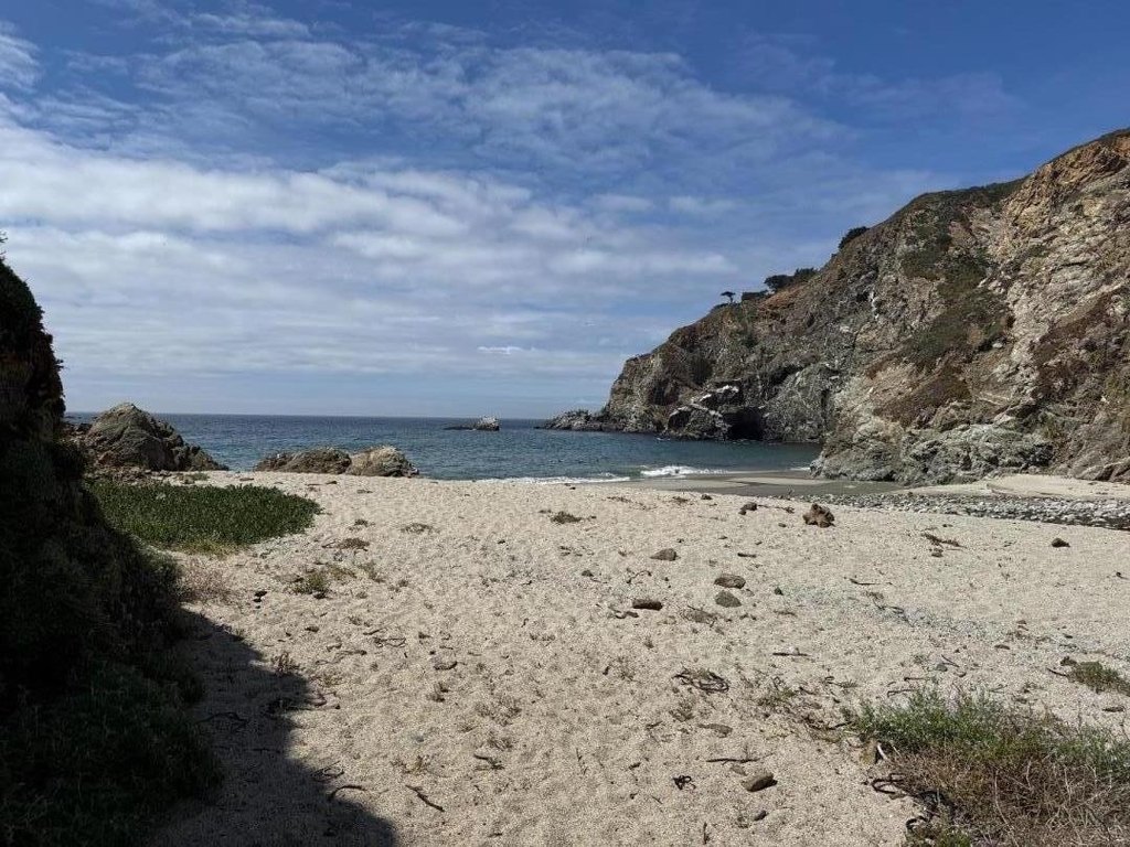Picture 36