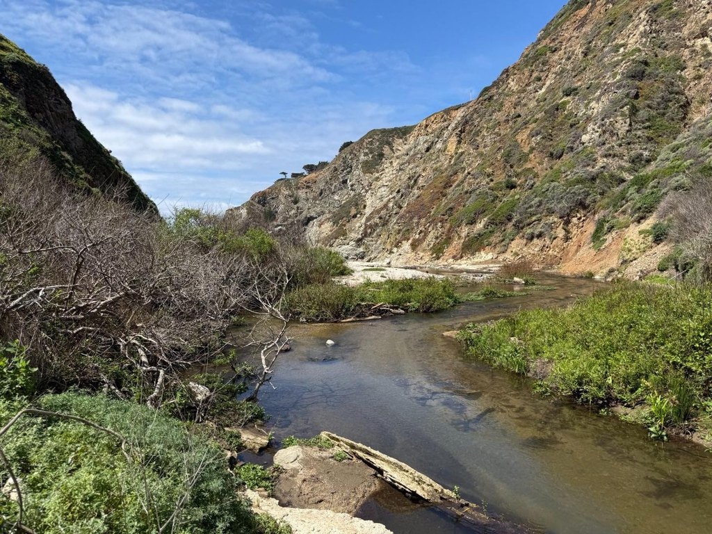 Picture 37