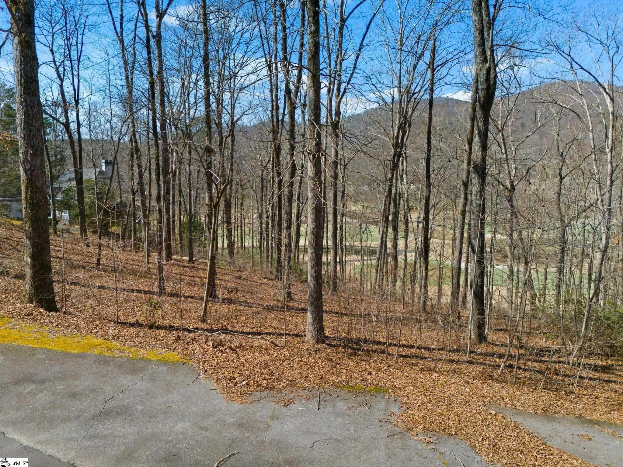 Wooded Lot Backing Golf Course