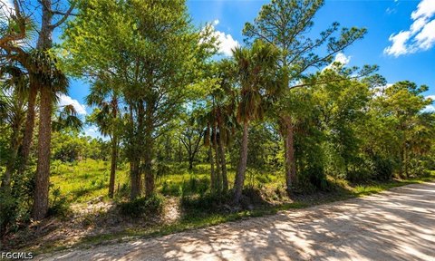 Agricultural Land Parcel