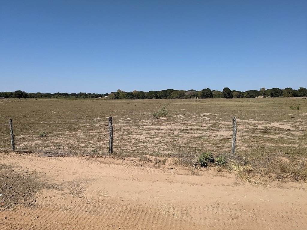Picture 20