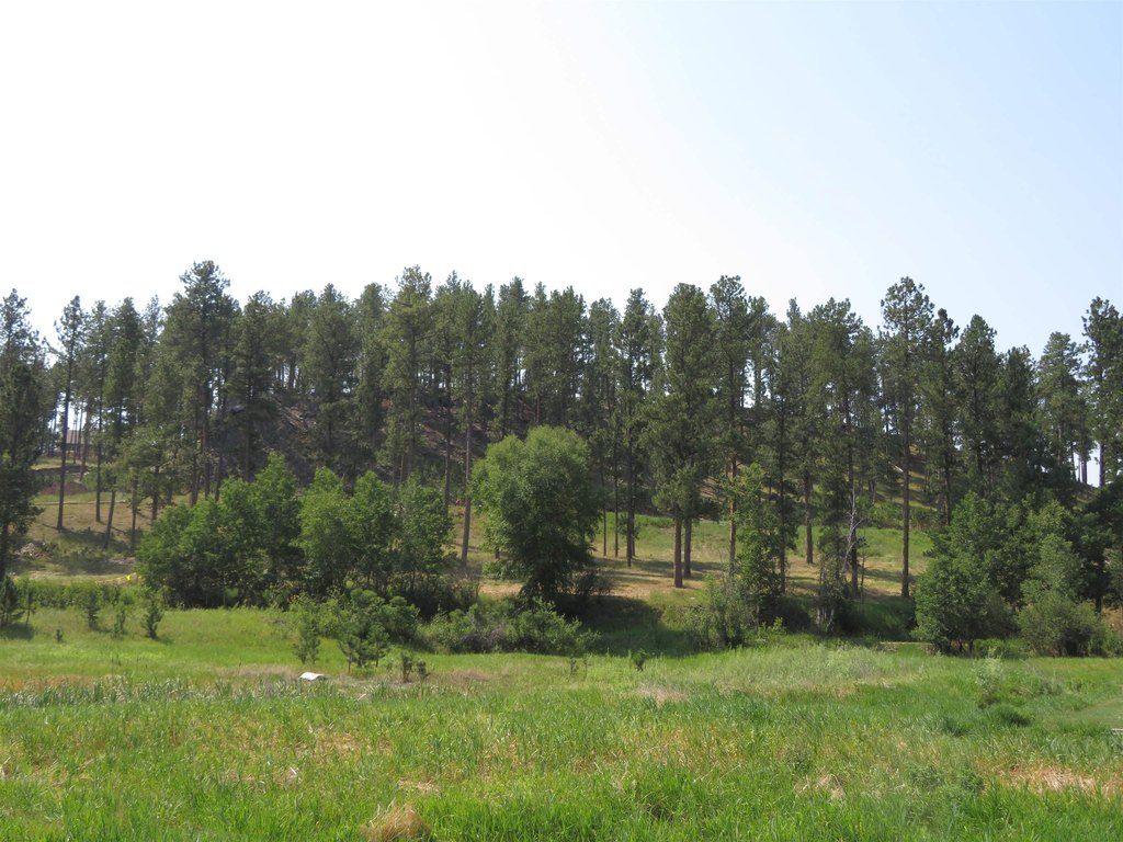 Picture 17