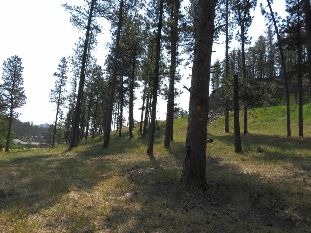 Picture 16