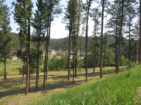 Residential Development Lot Near Trail