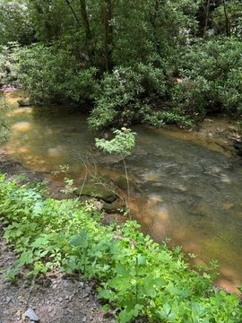 Ellijay, GA