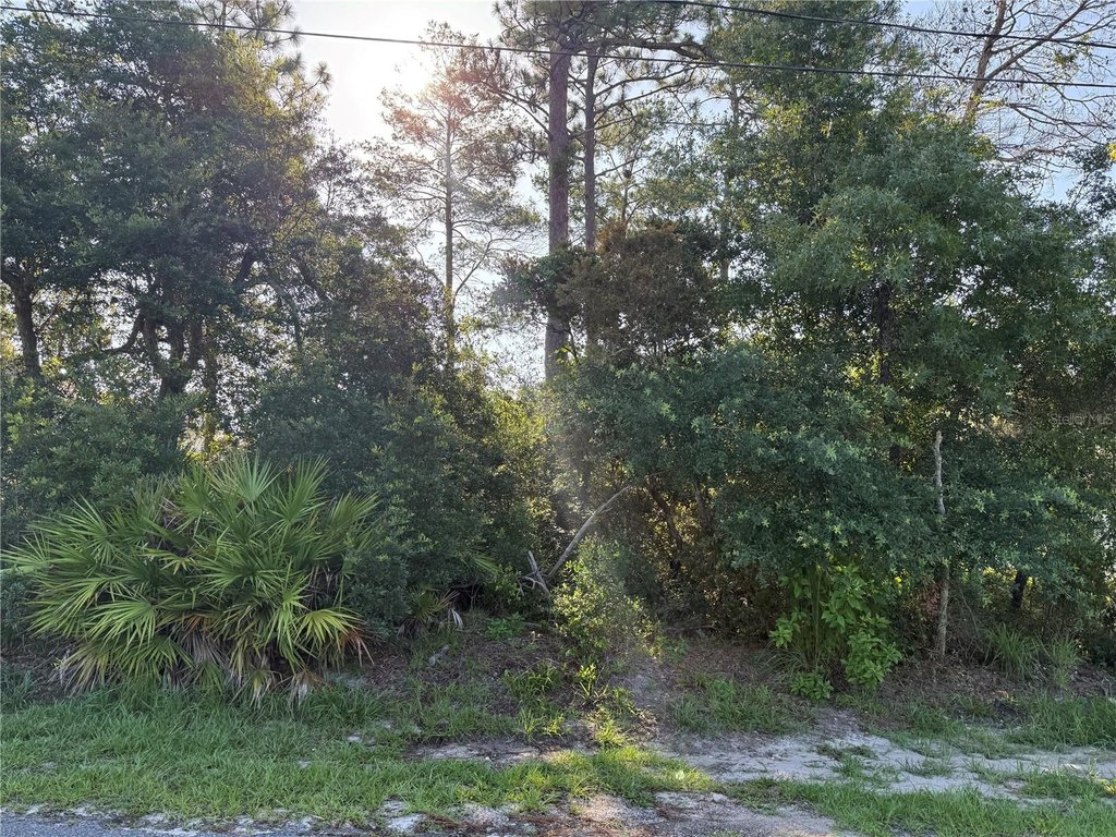 Picture 3