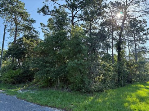 LAND - ORANGE CITY, FL