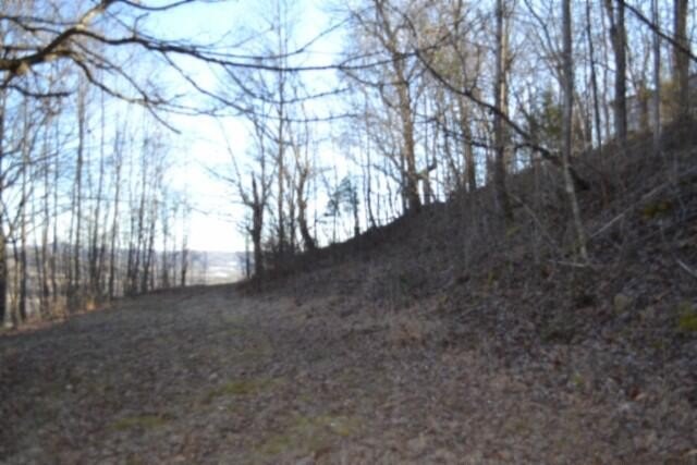 Picture 10