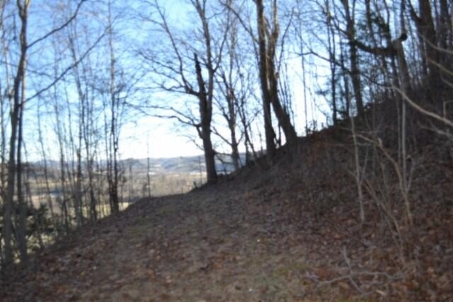 Picture 12