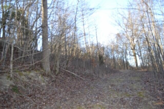 Picture 8
